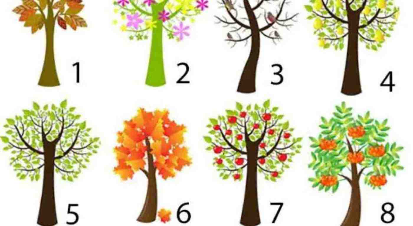 Scopri quanto sei intelligente: seleziona un albero e leggi cosa dice di te! Uno lo scelgono i veri geni