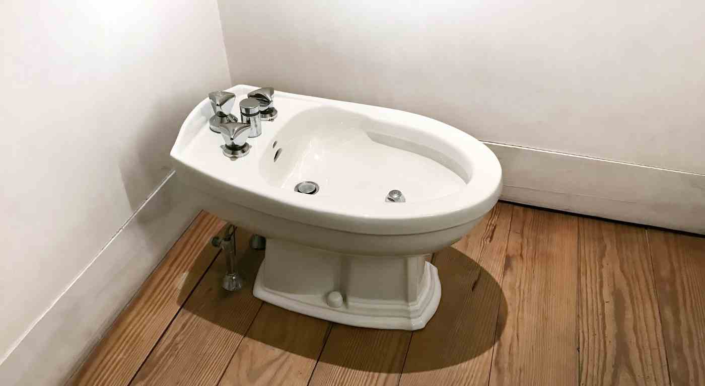 bidet