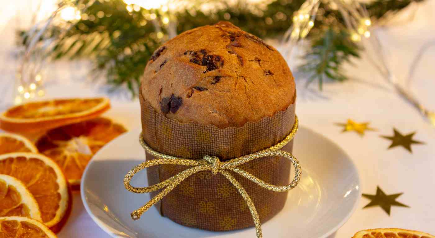 panettone con farina di insetti