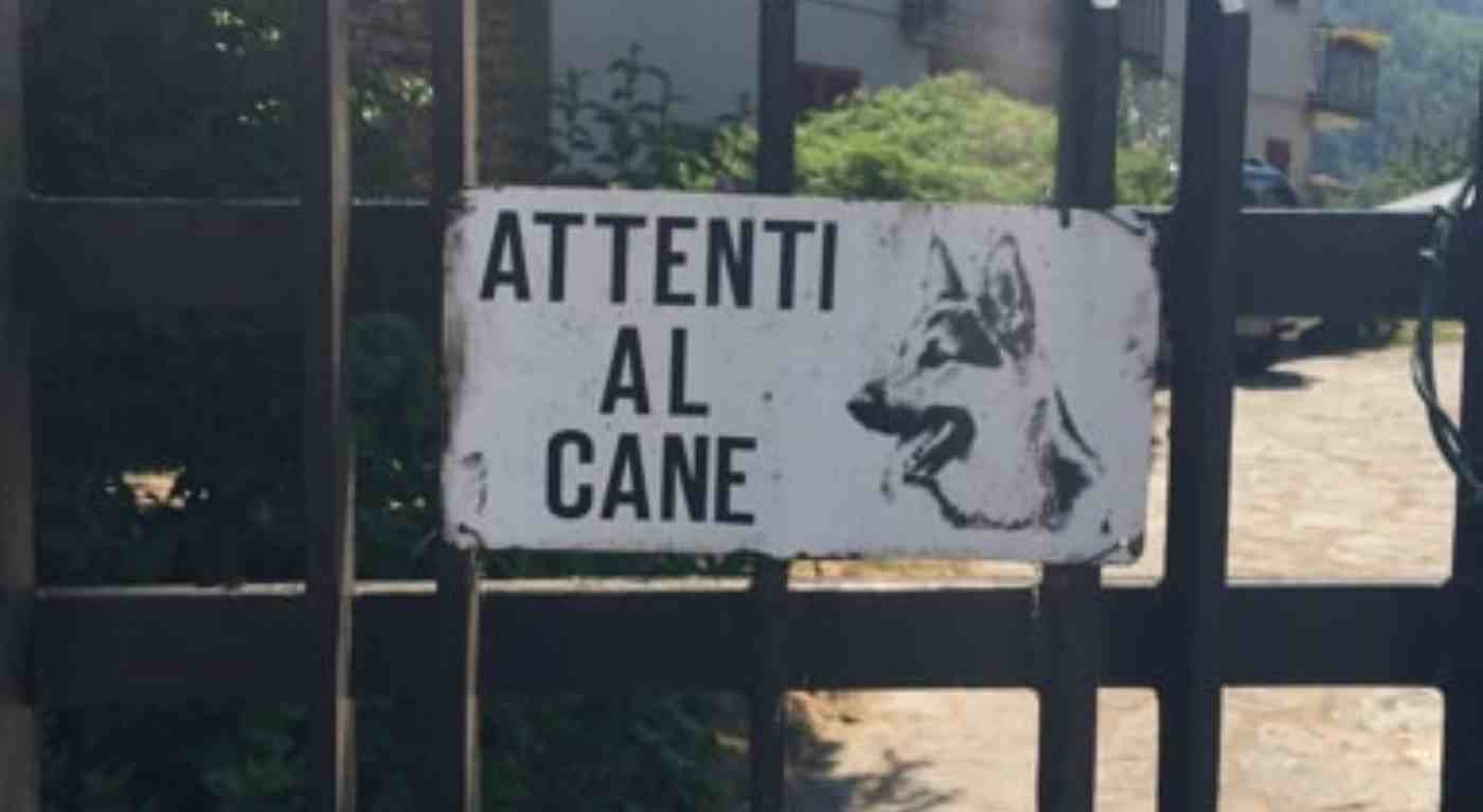 Cane trascinato da un’auto a 40 km/h